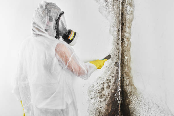 Best Industrial Mold Remediation in Roscommon, MI
